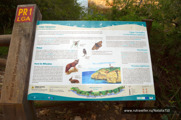 photo 1651746