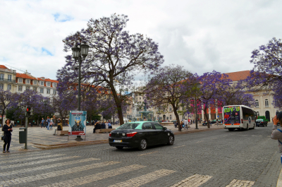 photo 1646819