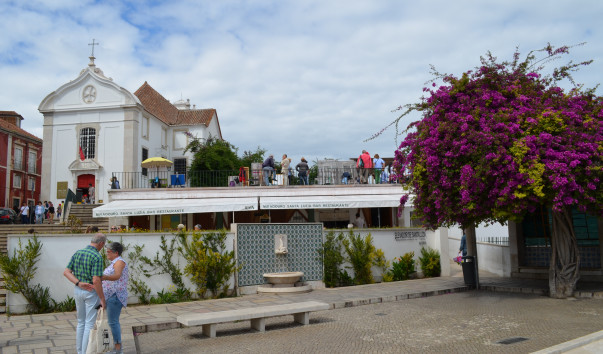 DSC_0633