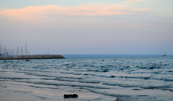 DSC_0175 1