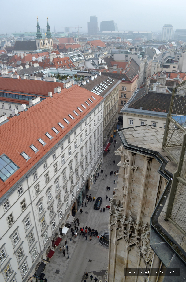 photo 1736789