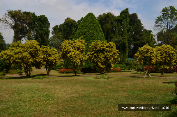 photo 1751775