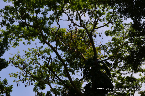 photo 1751783