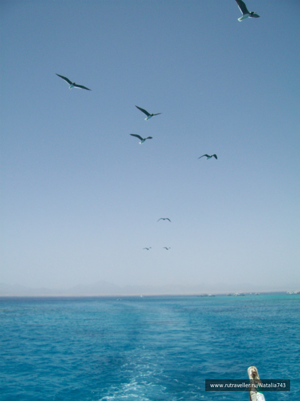 photo 402959