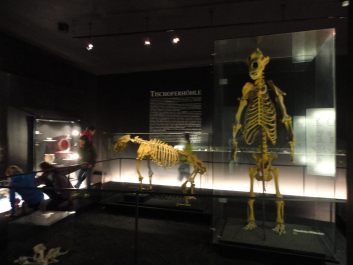photo 1051998