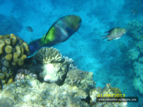 photo 430519
