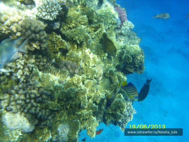 photo 430521