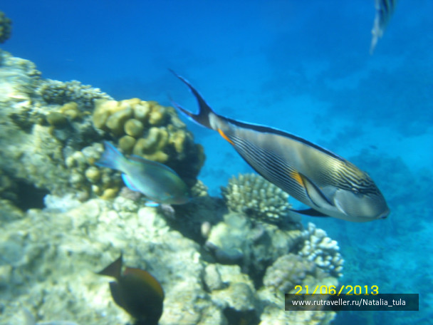 photo 430522