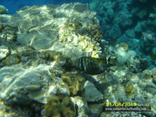 photo 430526