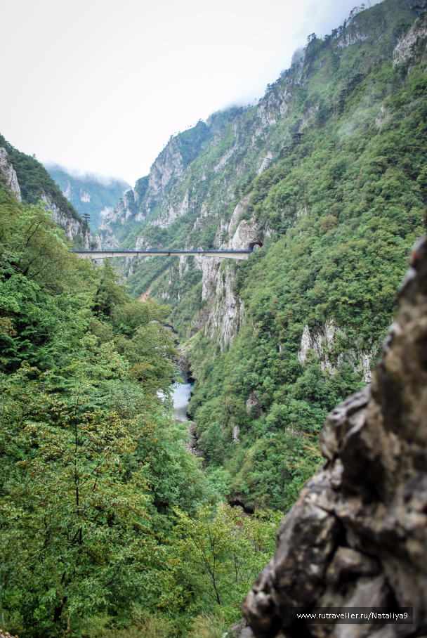 photo 1492445