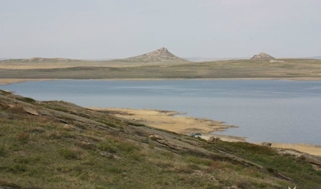 photo 976115