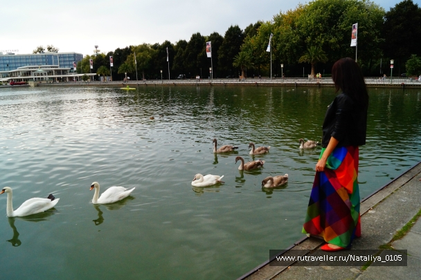 photo 876397