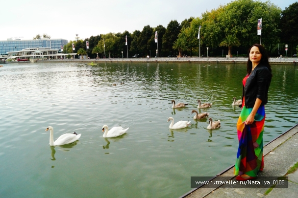 photo 876398