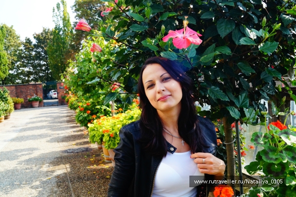 photo 876441