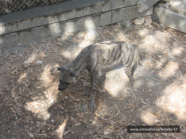 photo 112592