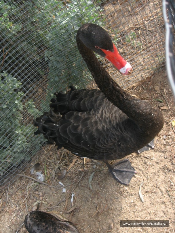 photo 112591