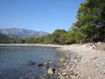 photo 266933
