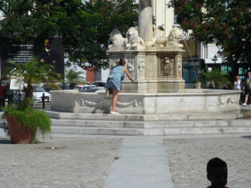 photo 258530