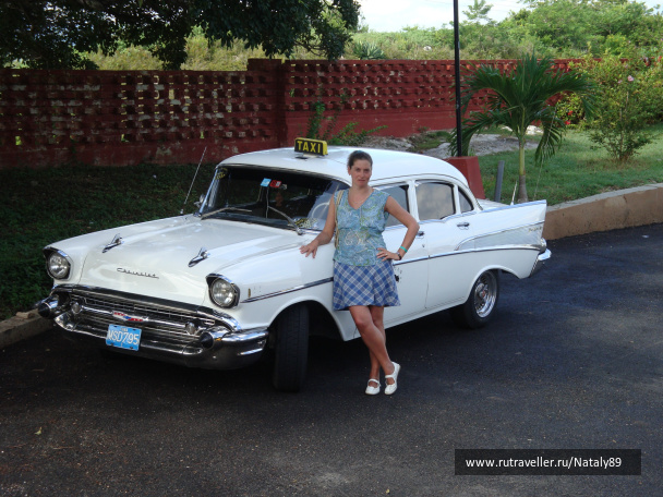photo 258554