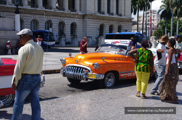 photo 258570
