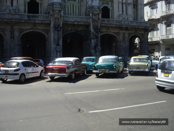photo 266295