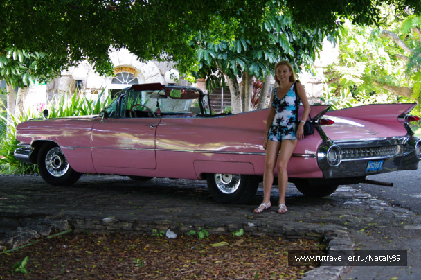 photo 267503