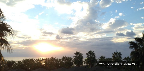 photo 900084