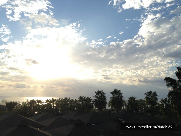 photo 900087