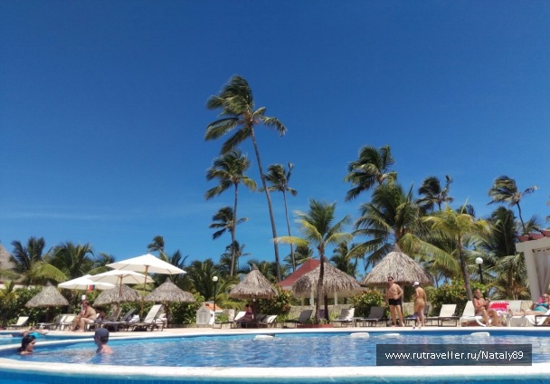 photo 1155129