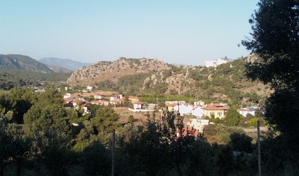 IMG1236-01