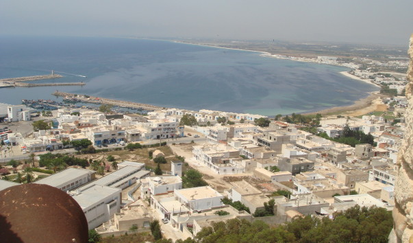 DSC00557