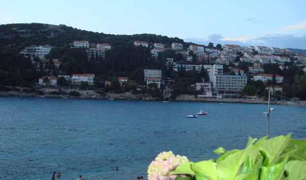 DSC00812