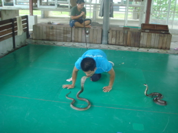 photo 492679