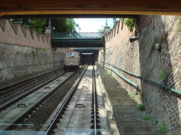 photo 495073