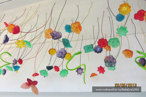 photo 498598