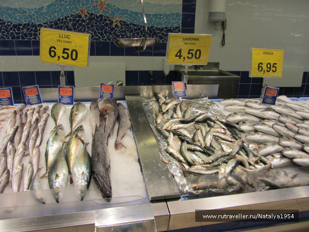 photo 498629