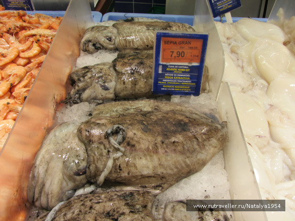 photo 498631
