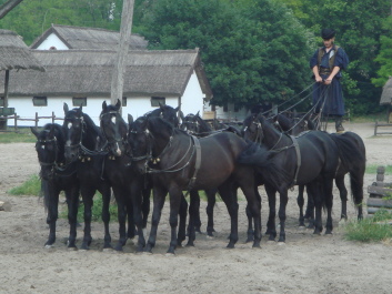 photo 494819