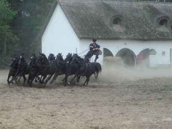 photo 494820
