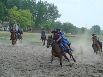 photo 494822
