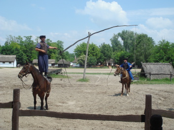 photo 494823