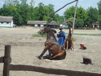 photo 494824