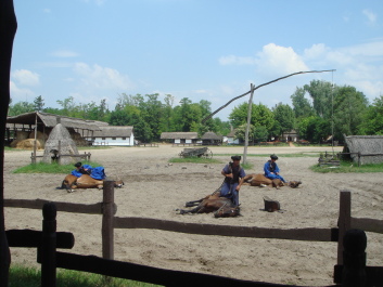 photo 494825