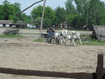photo 494828