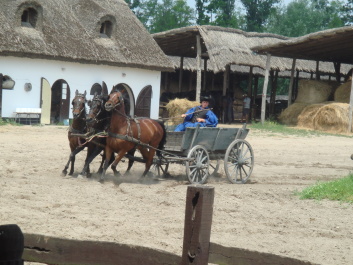 photo 494829