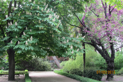 photo 484257