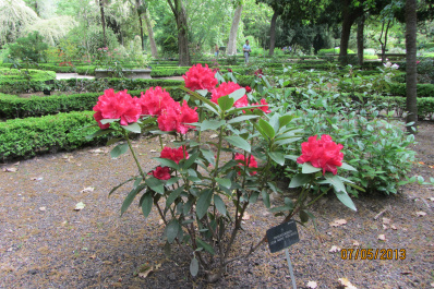 photo 484263