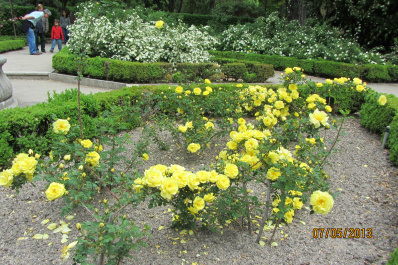 photo 484268