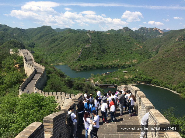 photo 1039884