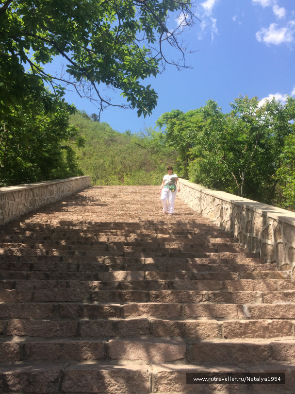 photo 1039921
